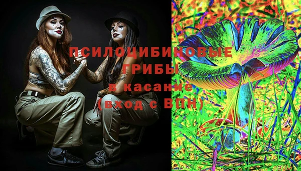 PSILOCYBIN Балахна